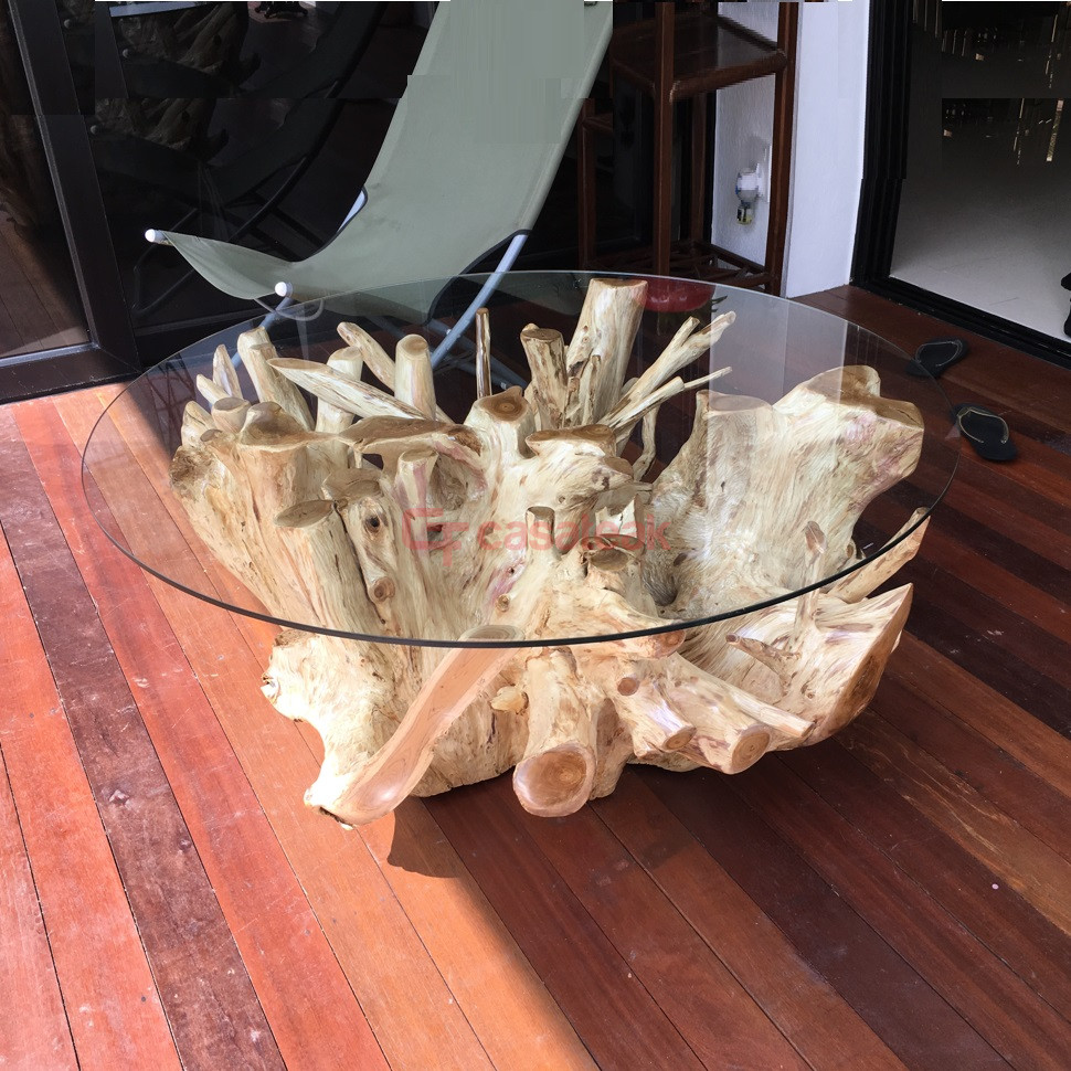 Teakwood root coffee table